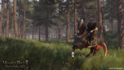 Превью Mount & Blade 2: Bannerlord