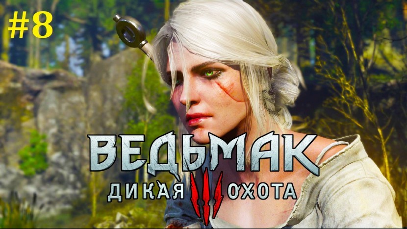 The Witcher 3 Прохождение - Сделка с Бароном #8