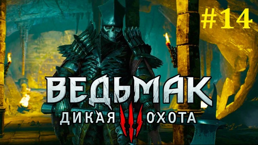 The Witcher 3: Wild Hunt Прохождение - Убежище таинственного мага #14