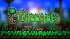 Гайд по прохождению Terraria