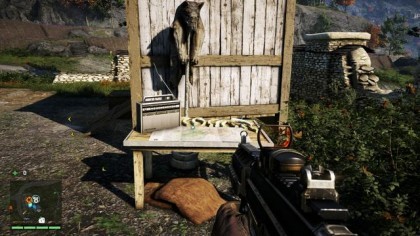 Far Cry 4 - неделя моды в Кирате (расположение животных)