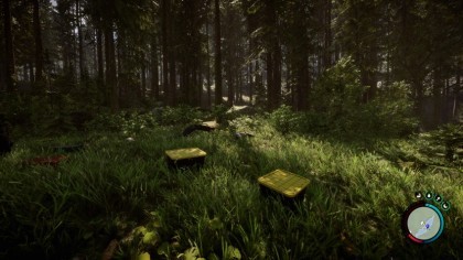 Дублирование предметов в начале игры Sons of the Forest