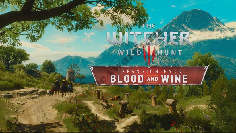Расположение всех Мест Силы в «Туссенте» – Гайд по The Witcher 3: Wild Hunt – Blood and Wine