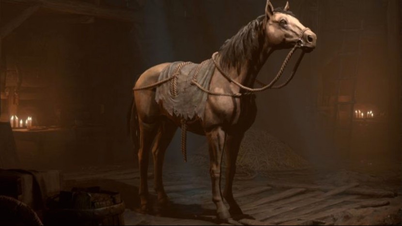 Лошадь в Diablo 4