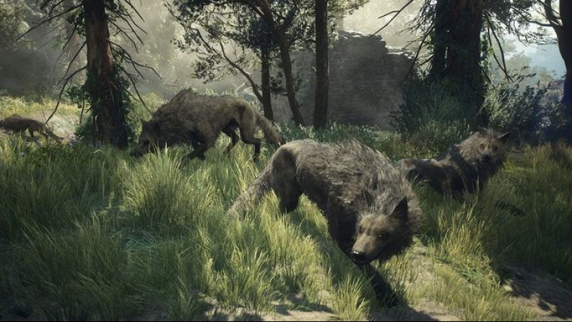 Гайд по монстрам в Dragon's Dogma 2