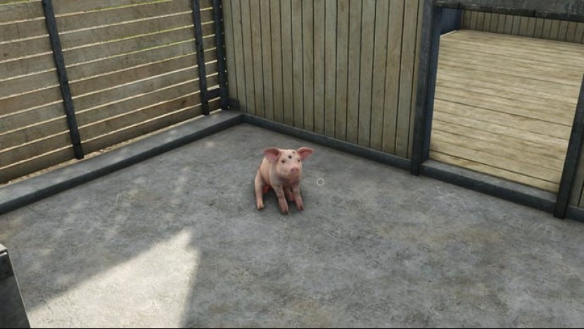 Гайд по скоту в Farming Simulator 25