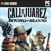 игра от Ubisoft - Call of Juarez: Bound in Blood (топ: 5.5k)