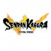 топовая игра Senran Kagura: Estival Versus