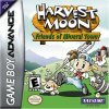 игра Harvest Moon: Friends of Mineral Town