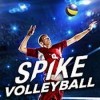 игра Spike Volleyball