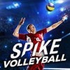 Spike Volleyball