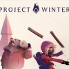 Project Winter