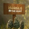 Morels: The Hunt