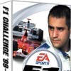 игра F1 Challenge '99-'02