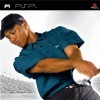 игра Tiger Woods PGA Tour 06