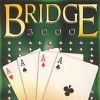Bridge 3000