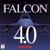 игра Falcon 4.0