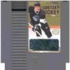 игра Wayne Gretzky Hockey
