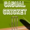 топовая игра Casual Cricket VR