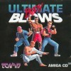 игра Ultimate Body Blows