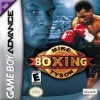 Mike Tyson Boxing