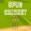 игра Spud Cricket VR