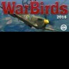 Новые игры Симулятор полета на ПК и консоли - WarBirds 2016