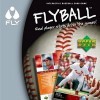 топовая игра Flyball