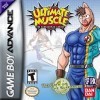 Ultimate Muscle: Path of the Super Hero