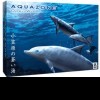Лучшие игры Симулятор - AquaZone: Open Water: Ogasawara (топ: 1.1k)