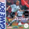 игра Matthias Sammer Soccer