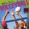игра Malibu Beach Volleyball