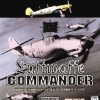 топовая игра Luftwaffe Commander