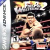 Лучшие игры Файтинг - Fire Pro Wrestling 2 (топ: 1.1k)