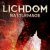 Lichdom: Battlemage