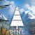 Pine