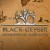 Игра Black Geyser: Couriers of Darkness