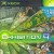 Xbox Exhibition Demo Disc Vol. 4