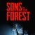 Игра Sons of the Forest