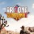 Игра Arizona Sunshine 2