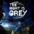 Игра The Night is Grey