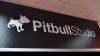 Компания Epic Games купила Pitbull Studio