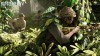 Battlefield 5: Into the Jungle: дата выхода, новая карта, командир и многое другое