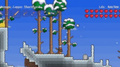 Коллекционное издание Terraria