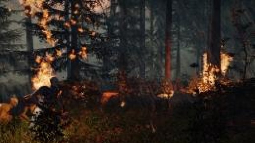 The Forest - новый геймплейный трейлер