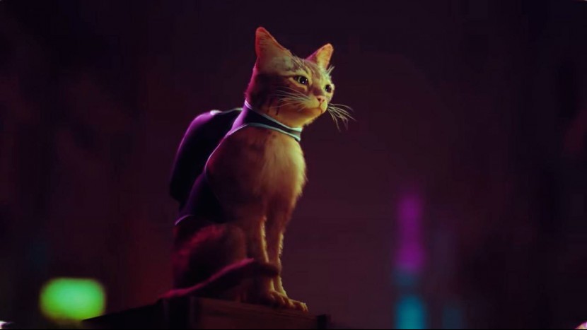 Игра Stray принесет киберпанк, роботов и кошек на PS5 в 2021 году 