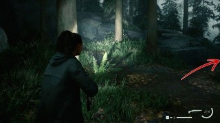 Alan Wake 2. Прохождение