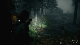 Alan Wake 2. Прохождение