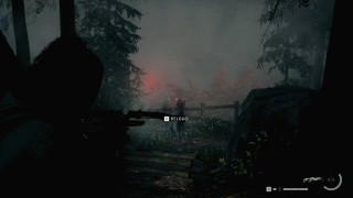 Alan Wake 2. Прохождение