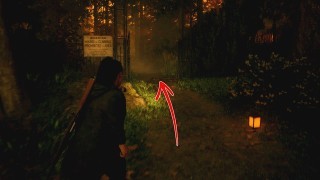 Alan Wake 2. Прохождение